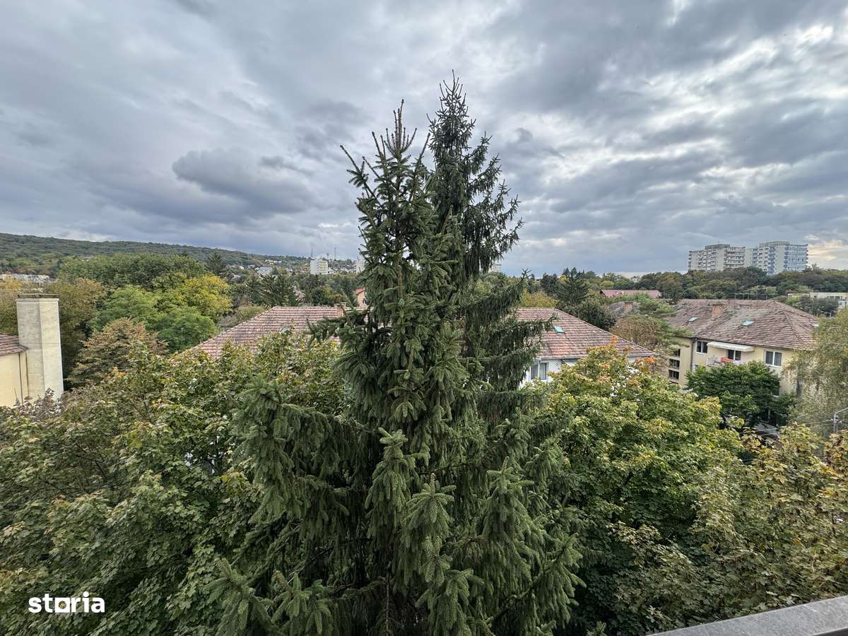 SUPER OFERTA! Apartament 5 camere in 7 noiembrie / UMFST / Cornisa-3