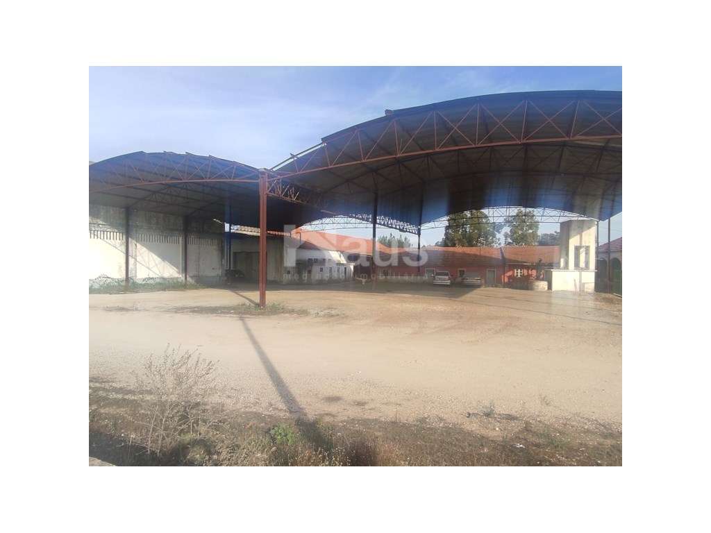 Armazém em Pegões - Lote de 2800m2 - Grande imagem: 3/21
