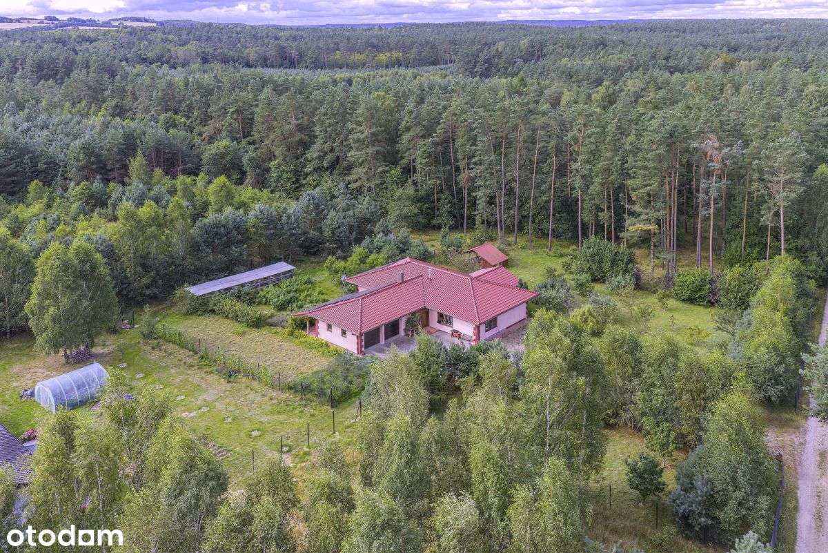 Posiadłość, 7500m2! w Dąbrówce k. Wejherowa-6