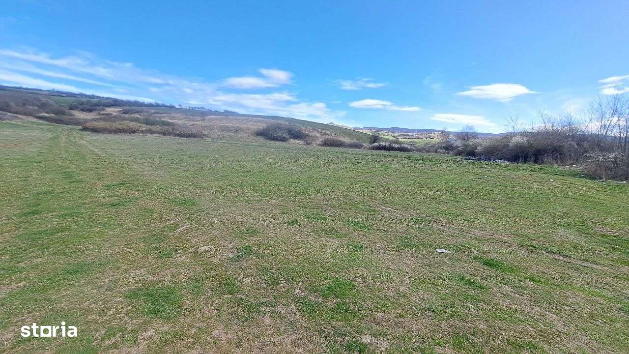 Teren, 10.400 mp lângă Autostrada A1 iesire loc Apoldu de Jos-5