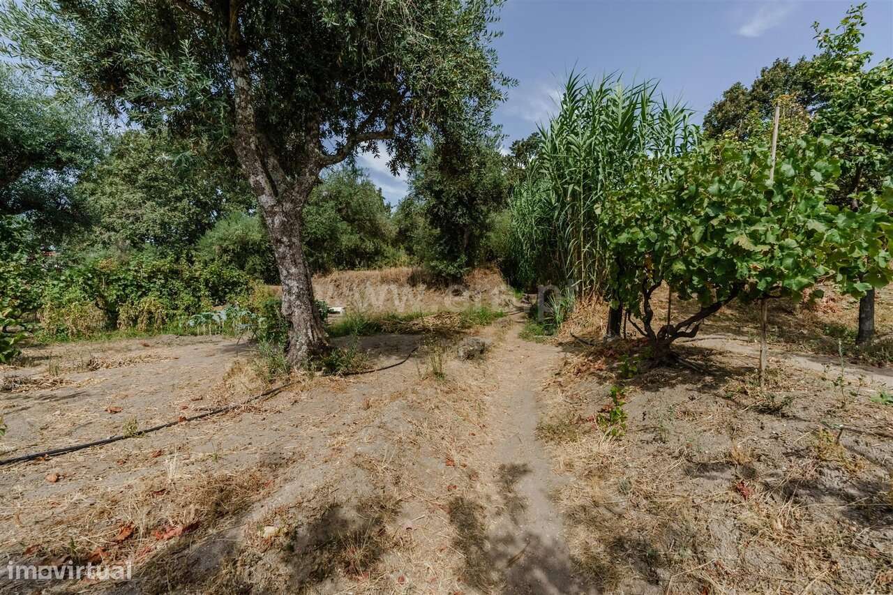 Terreno / Covilhã, Tortosendo-7