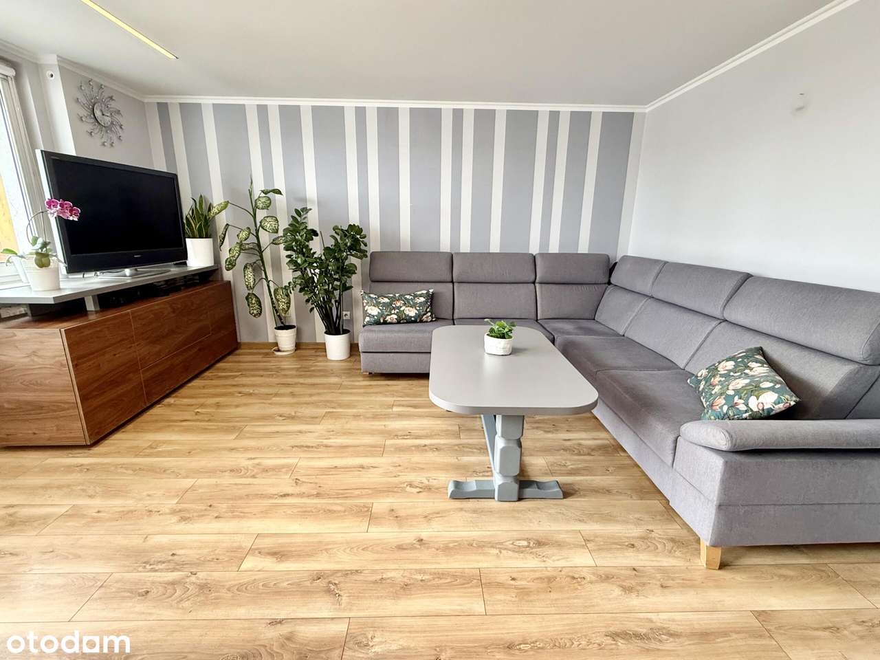 Duże mieszkanie przy ul. Koszyka na sprzedaż-3