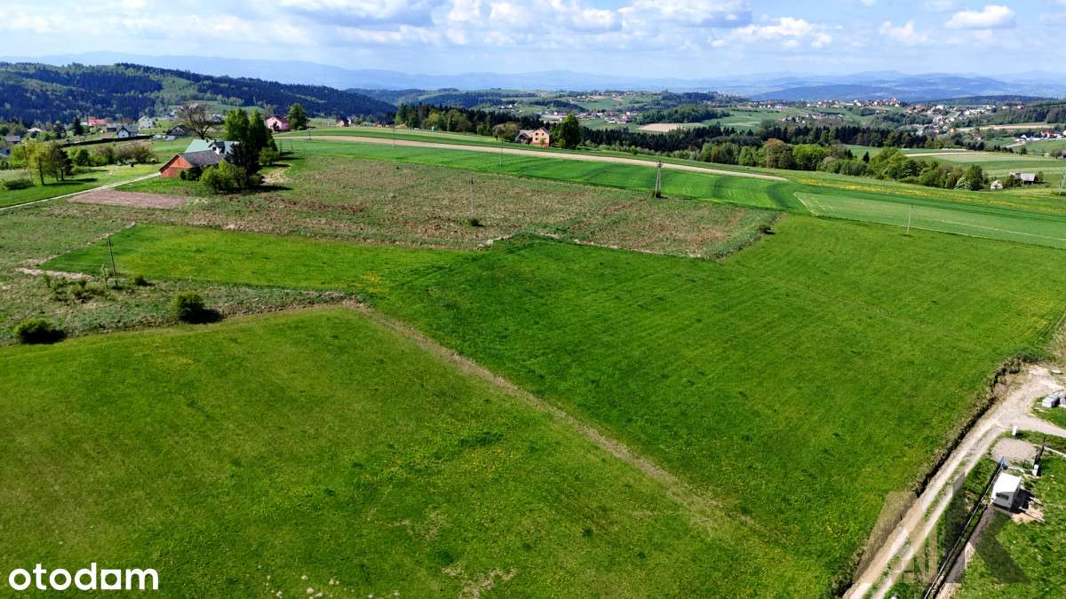Widokowa działka budowlana Łęka Siedlecka - Pełny obrazek: 4/17