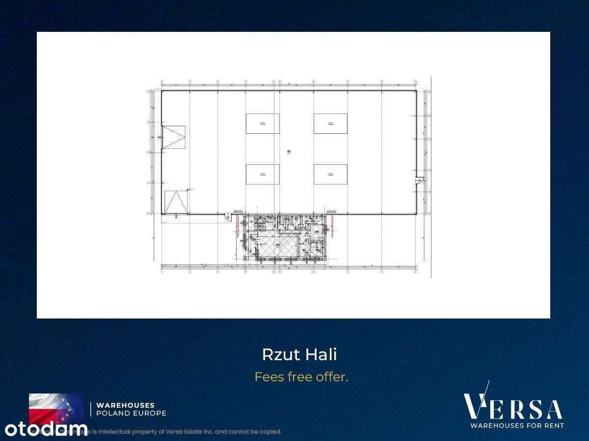 Magazyn 1200 mkw Nadarzyn - Pełny obrazek: 3/11