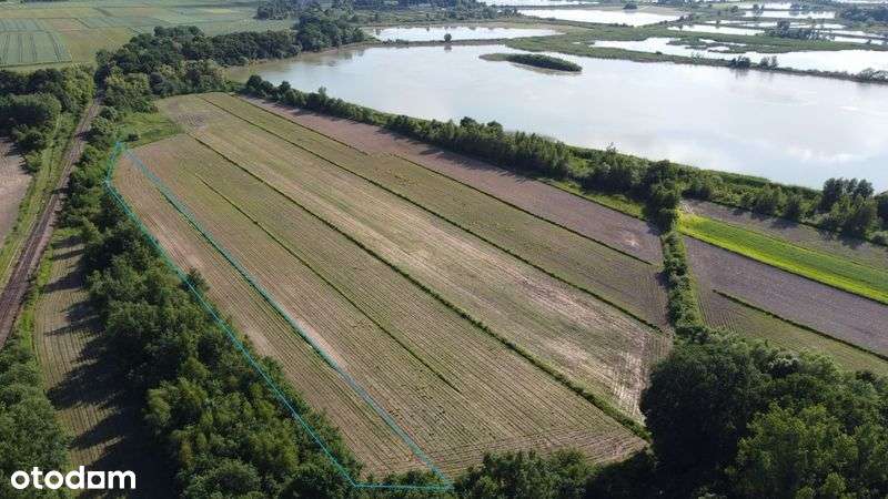 działka REKREACYJNA przy STAWACH 2979m2 możliwa zamiana - Pełny obrazek: 3/9