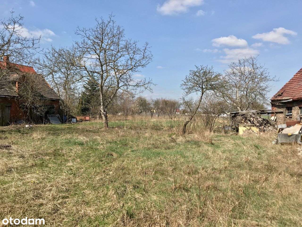 Rokietnica/Krzyszkowo - duża działka z potencjałem