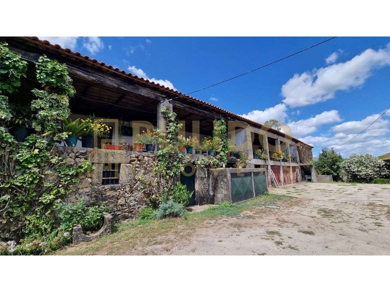 Solar em bom estado de conservação com jardim de japoneiras (camélias)-9