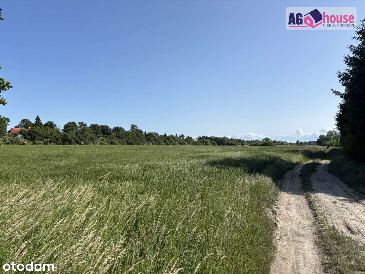Inwestycyjna działka - Świbno - Pełny obrazek: 4/8