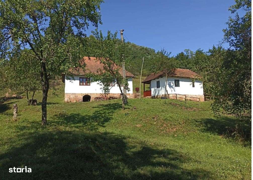 Proprietate plus 13 hectare teren la 25 km de Deva-12