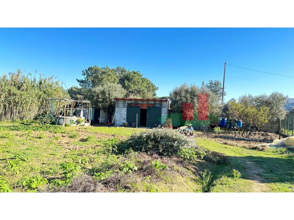 Terreno - Rio Maior - Grande imagem: 4/31