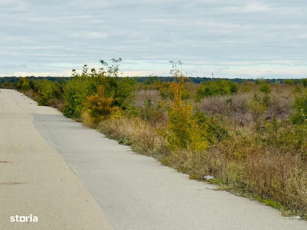 Teren extravilan Chitila/Mogosoia 15895mp - Imagine principală: 5/8