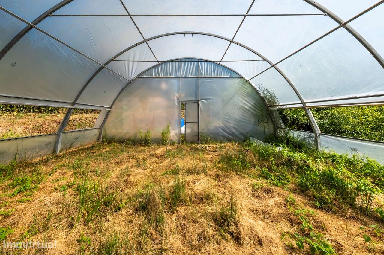Terreno Agrícola na Fanadia | 16.100 m² de Potencial e Infraestrutu...-17