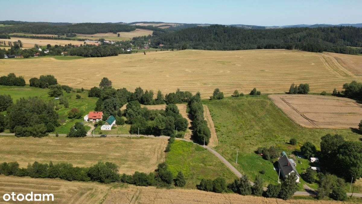 Pogórze Izerskie - Działka Siedliskowa+Rola-8
