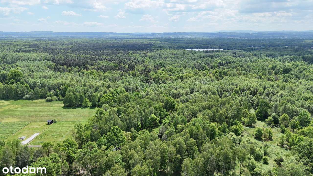 DZIAŁKI NA SPRZEDAŻ BOREK-2