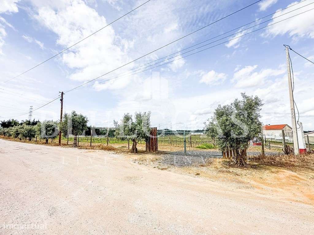 Terreno Rústico com Vinha e PIP Aprovado - Palmela-0