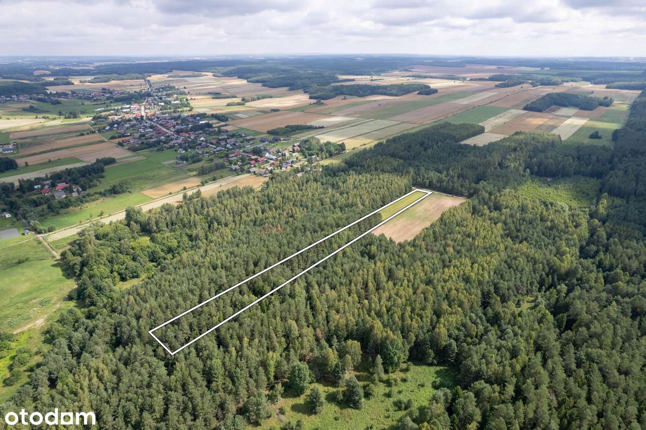 Działka rolno-leśna 12,6ar Wierzchlesie** - Pełny obrazek: 5/6