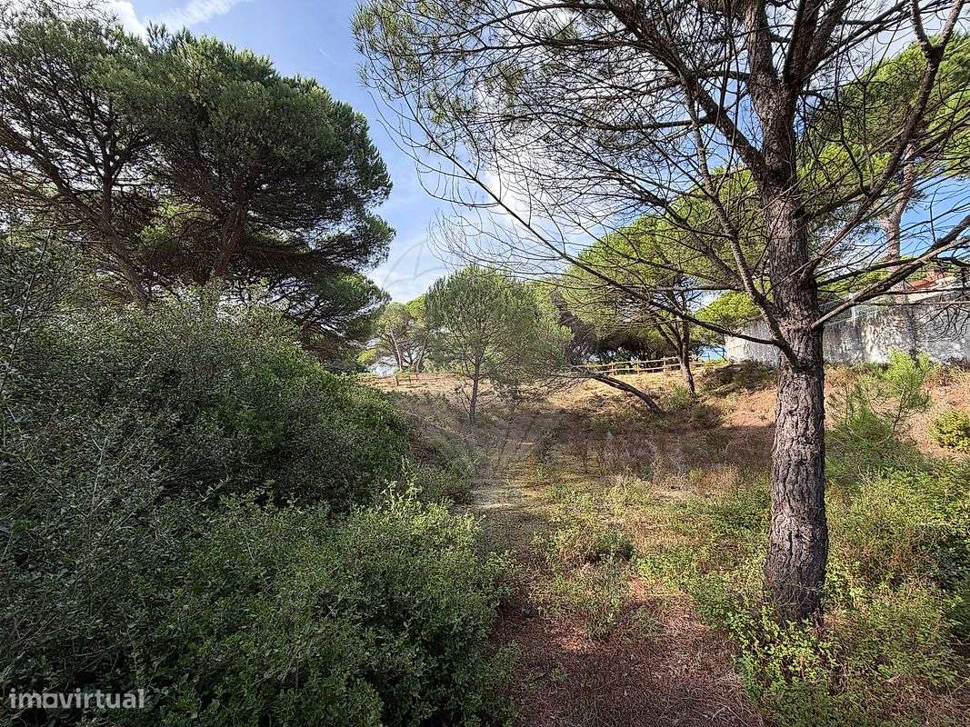 Terreno  para venda-8