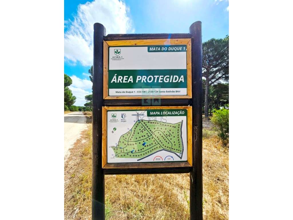 Lote de Terreno de 33.300m2, com lagoa, na Mata do Duque 1, Santo E...-9
