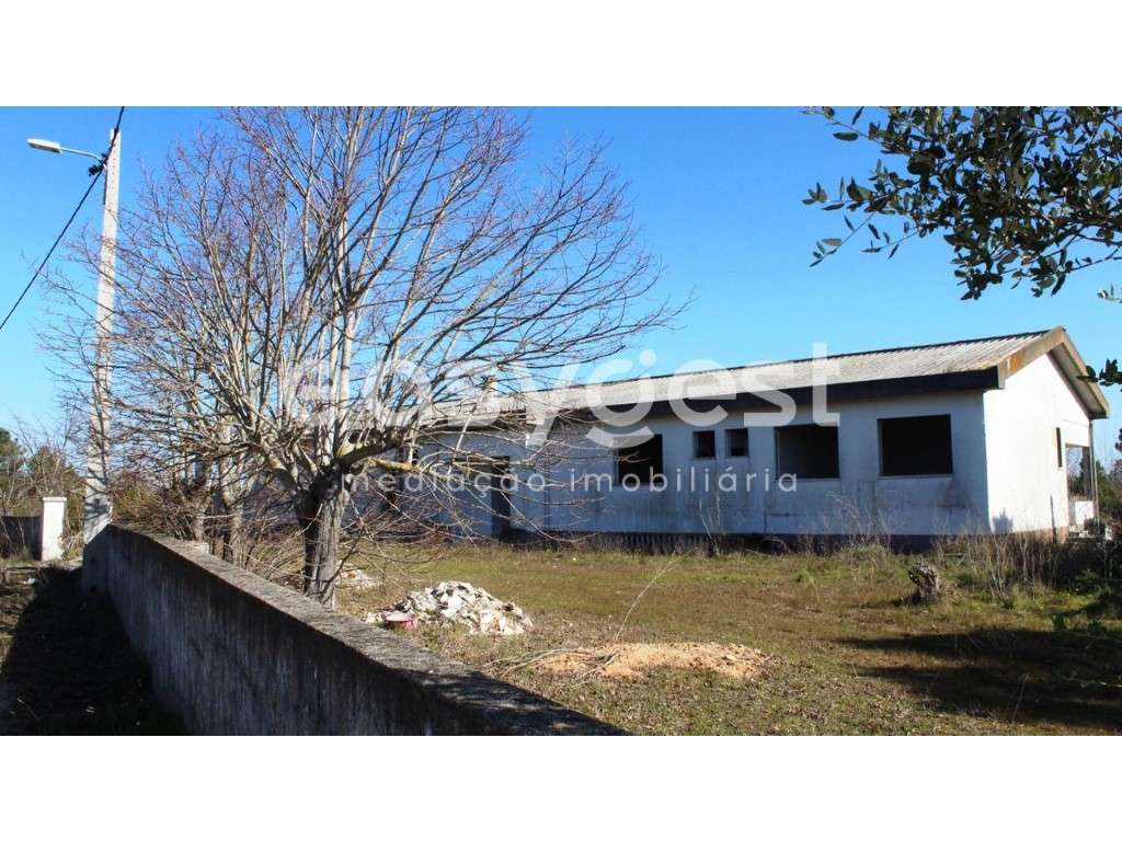 Quinta com projeto de recuperação e vista para a cidade de Abrantes - Grande imagem: 3/41