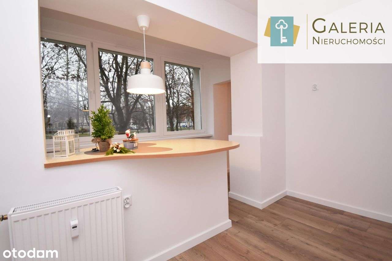 Przytulne mieszkanie po remoncie blisko Starówki! - Pełny obrazek: 4/15