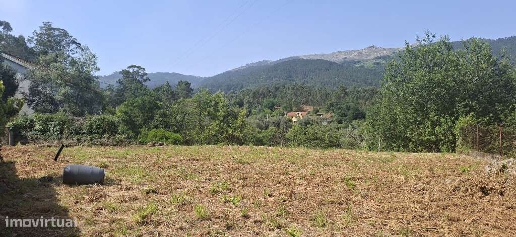 Terreno c/ Sequeira p/ Restauro  - Bouro Santa Marta-10
