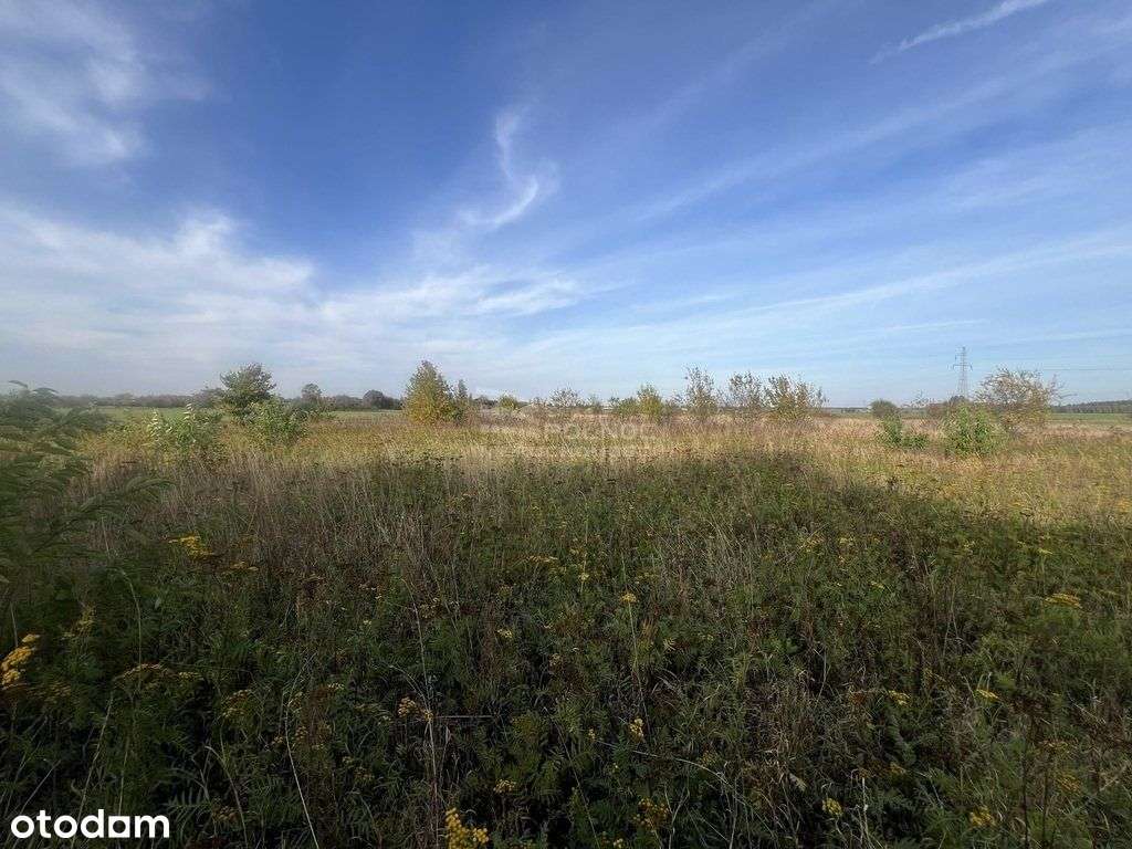 Działka budowlana w miejscowości gminnej - Pełny obrazek: 4/13