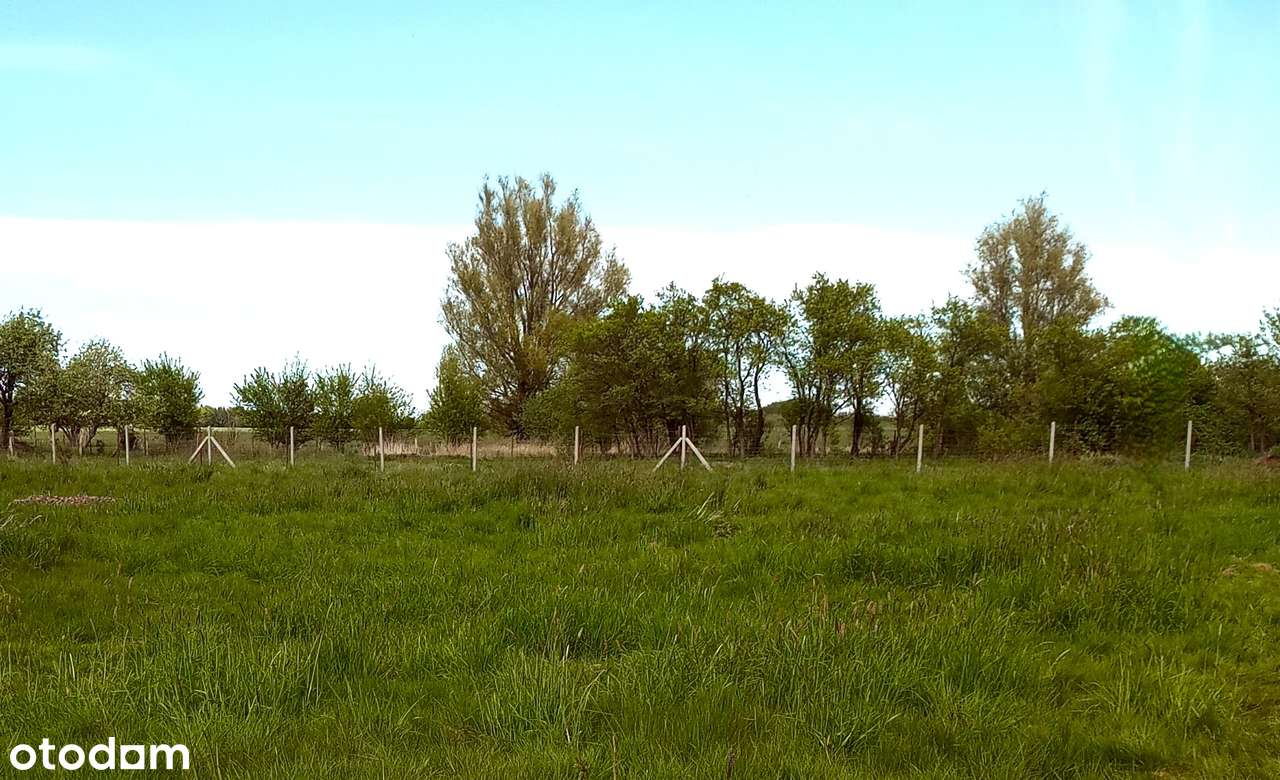 Sprzedam działkę z warunkami zabudowy blisko morza i Międzywodzia - Pełny obrazek: 1/9