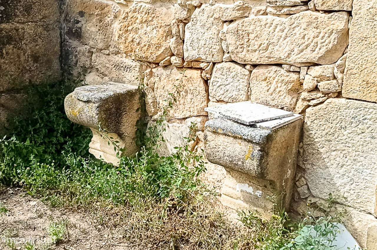 Quinta do Mosteiro de Salzedas com mais 17 ha e património histórico-33