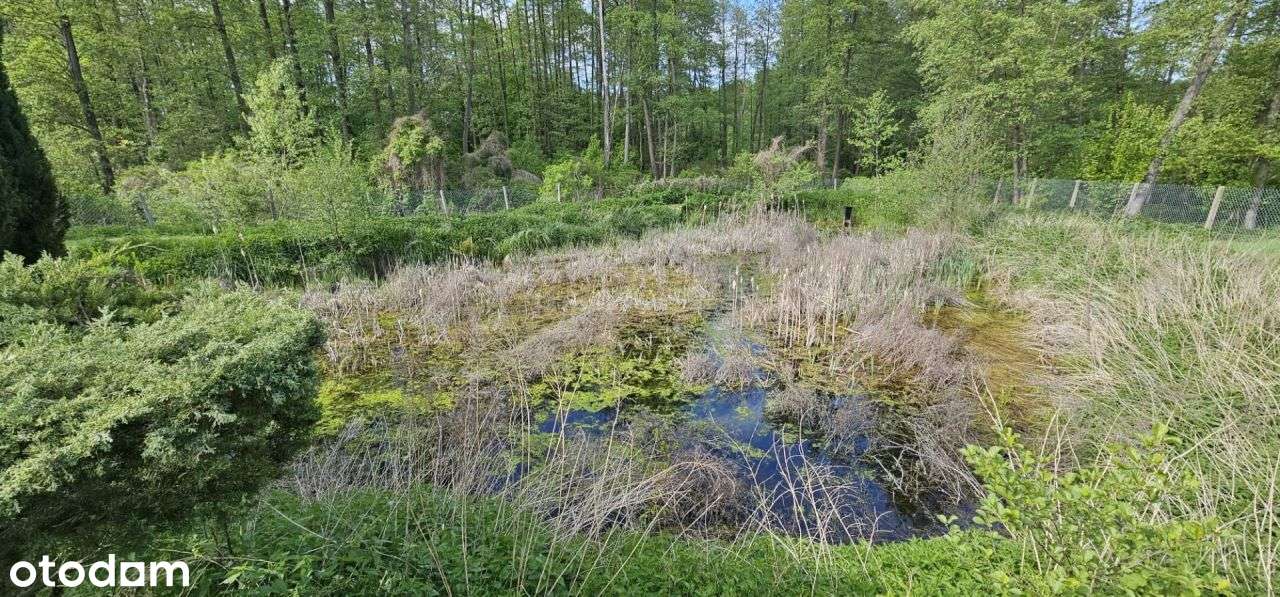 Na sprzedaż urokliwy dom ze stawem, działka 4600m2-15