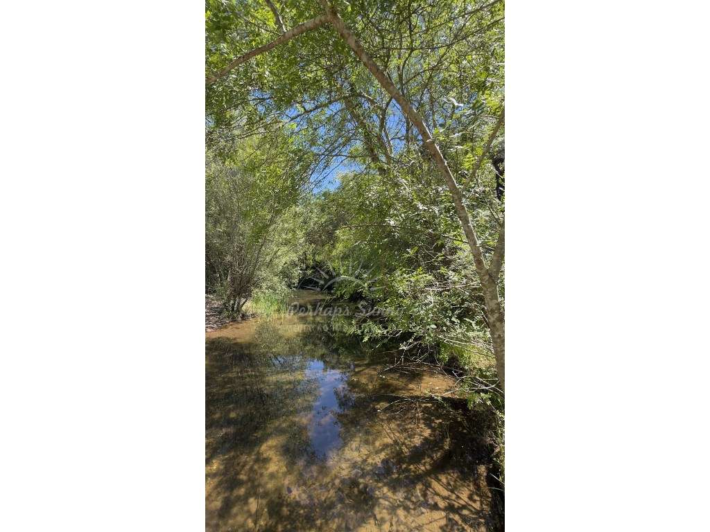Propriedade Rústica de Montado com Ribeira | 22,6 Hectares | Serra ...-25