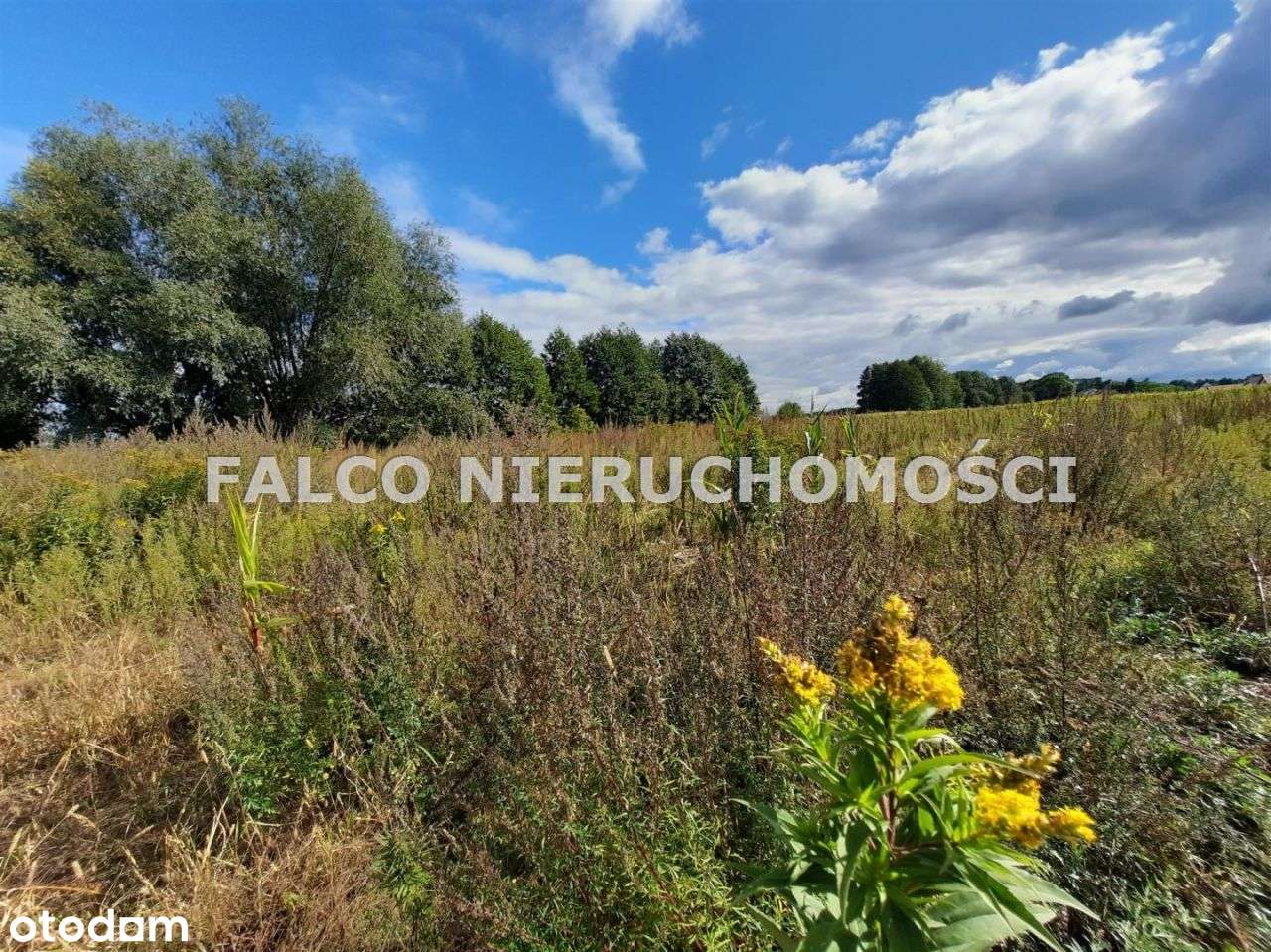 Zławieś Wielka, budowlana Wz Atrakcyjna oferta - Pełny obrazek: 5/5