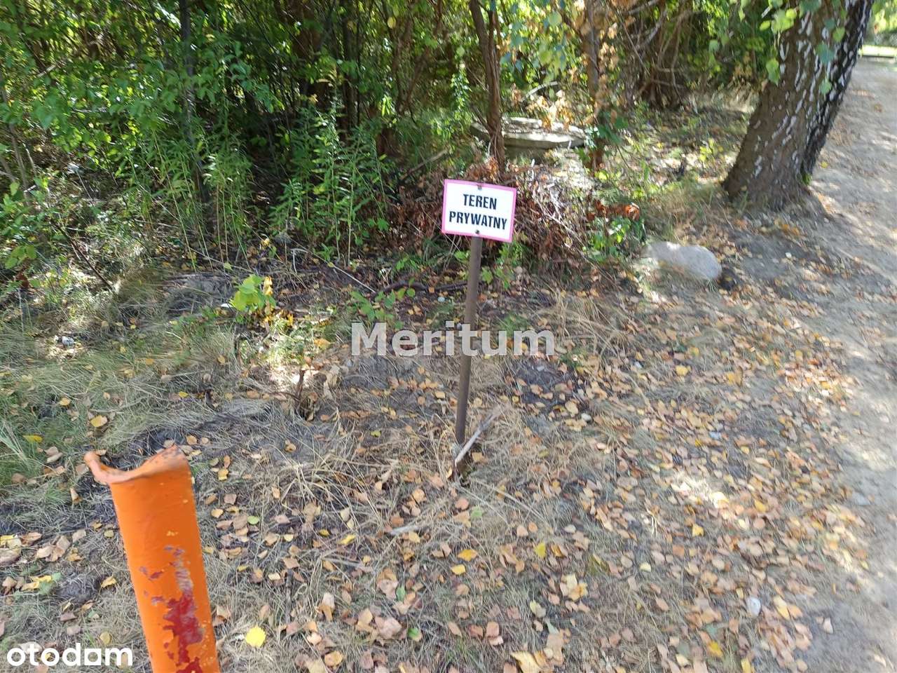 Kompleks 8 działek sprzedawanych w całości. - Pełny obrazek: 5/7