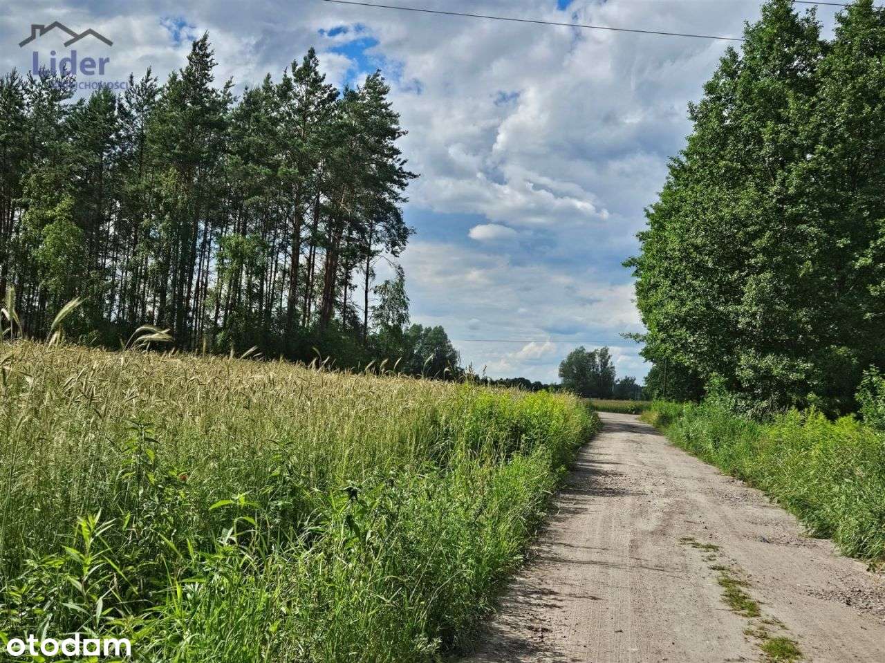 Dom Grabowiec/Silno, Do Wykończenia-5