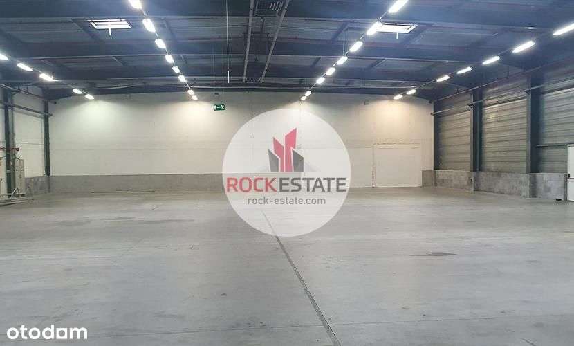 Magazyn na wynajem 1023 m2 - 0% prowizji-4