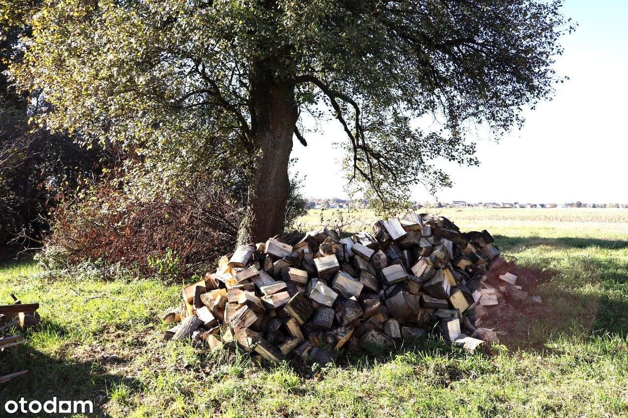Siedlisko w Głuchowie na dużej działce-14