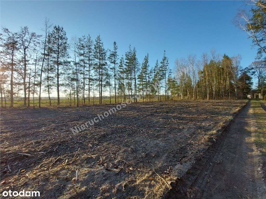 Zielono I Bezpiecznie, Komunikacja Pkp. - Pełny obrazek: 5/10