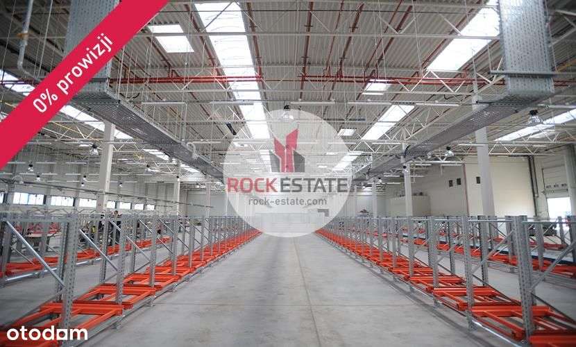 Magazyn 3900 m2 produkcja od zaraz Janikowo Poznań - Pełny obrazek: 4/6