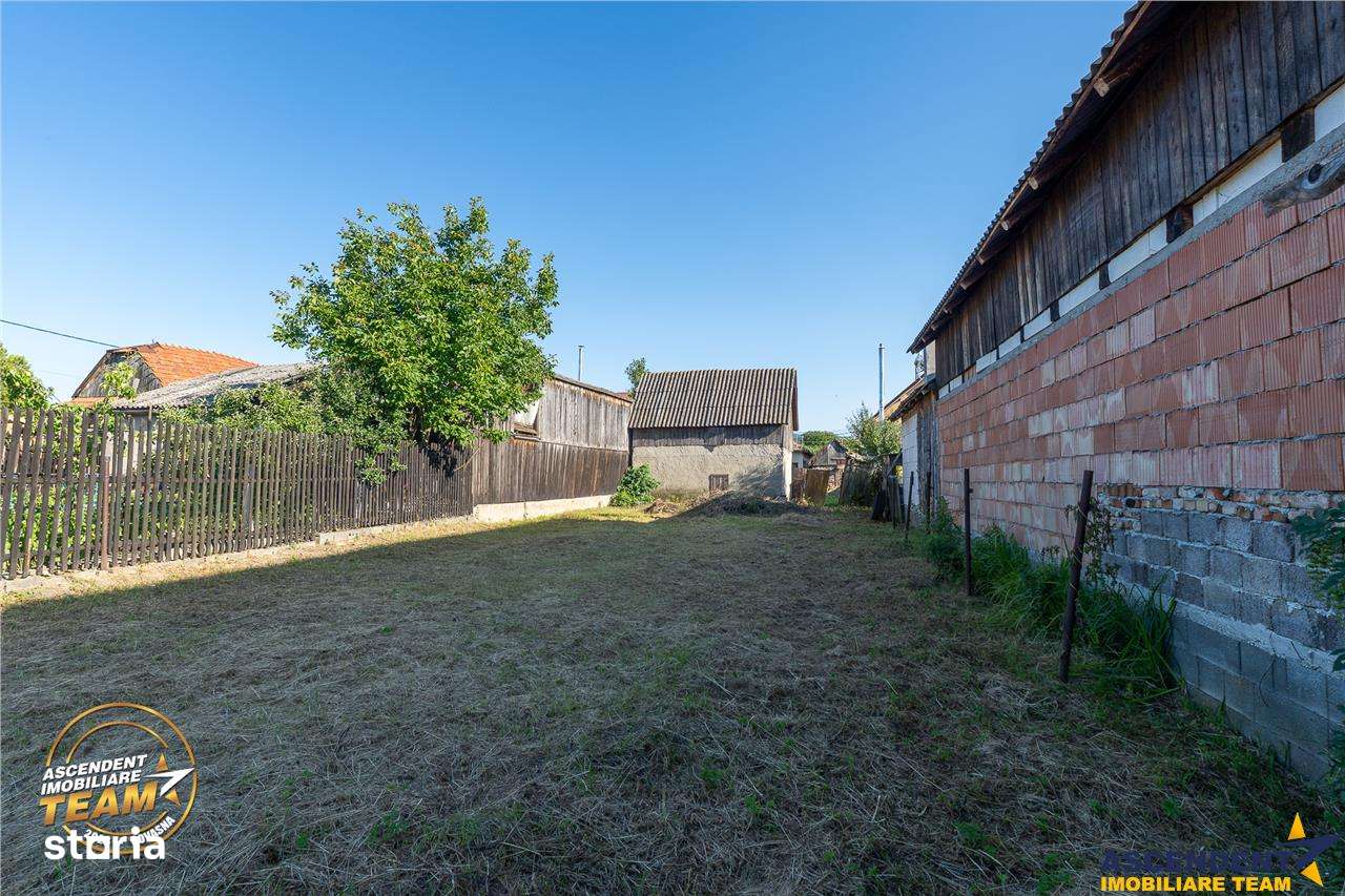 FILM! De vanzare casa traditionala, cu dependinte si facilitati, in Br - Imagine principală: 4/18