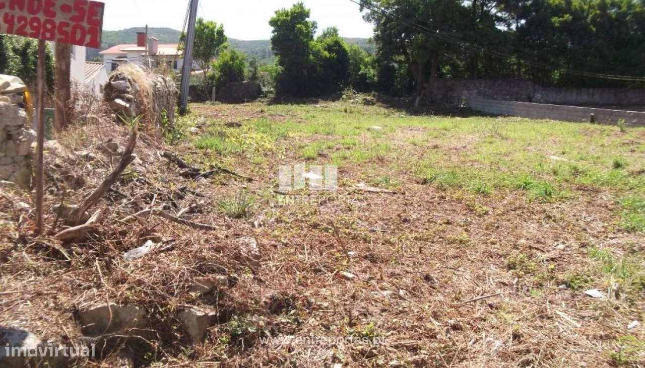 Terreno murado para venda, Moledo, Caminha - Grande imagem: 4/5