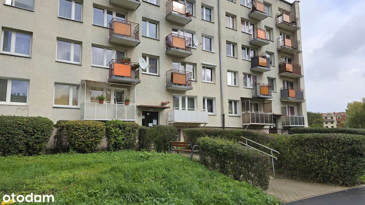 Osiedle Winiary Rogal 4-pokojowe