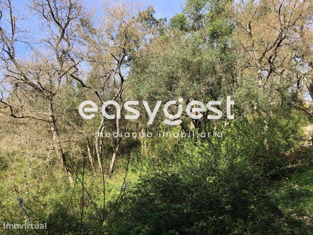 Terreno com possibilidade de construção - Grande imagem: 5/6