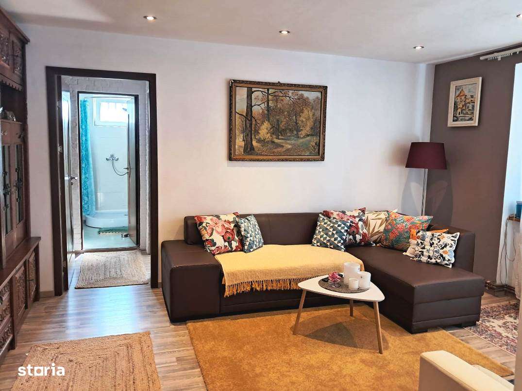 Apartament cu 2 camere zona Terezian-3