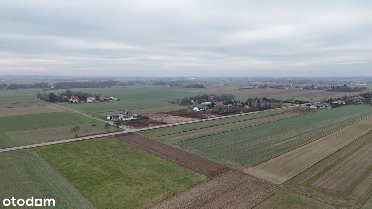 Gm. Niemce_10 minut do Lublina_MPK_ścieżka rowerowa_lasy kozłowieckie - Pełny obrazek: 4/6