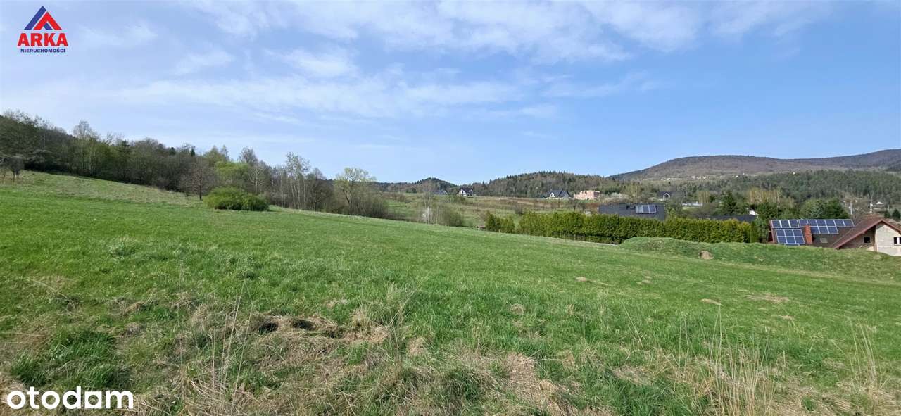 Kształtne działki budowlane pod lasem - Pełny obrazek: 4/8