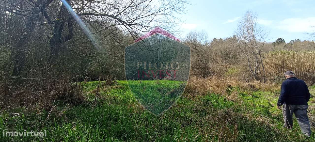 Quinta  Venda em Silgueiros,Viseu-9