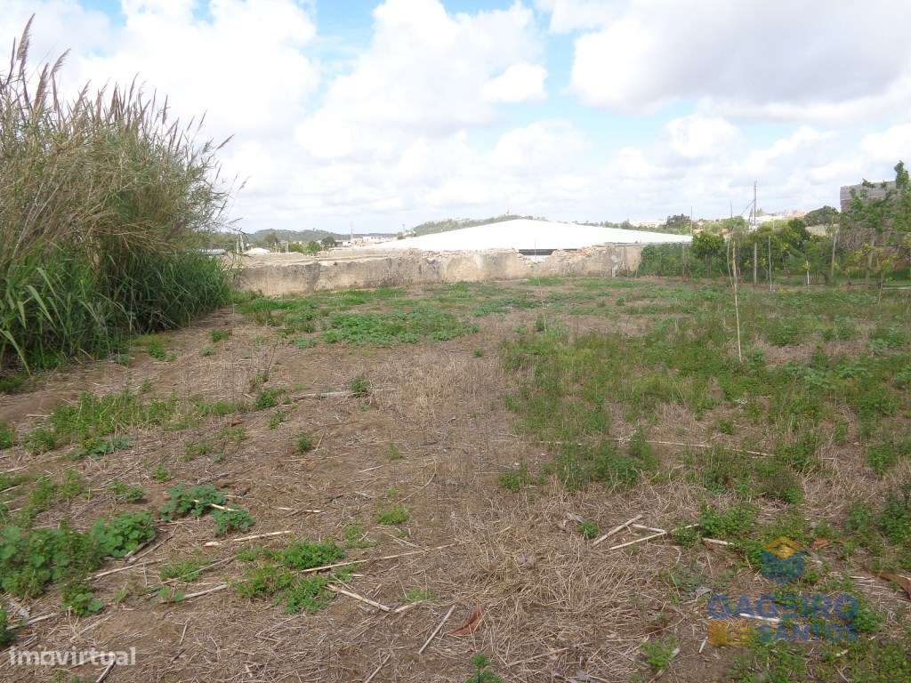 Terreno com ruínas, em A da Gorda. - Grande imagem: 4/4
