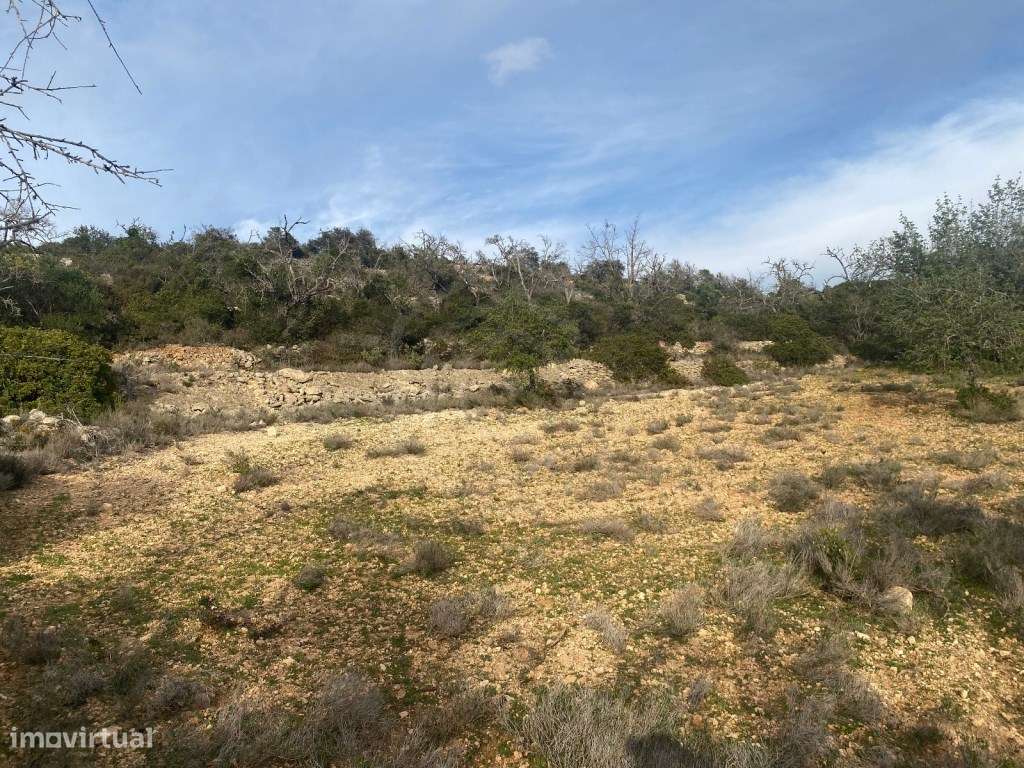 Terreno rústico com 3300m2, Loulé, Algarve - Grande imagem: 2/14