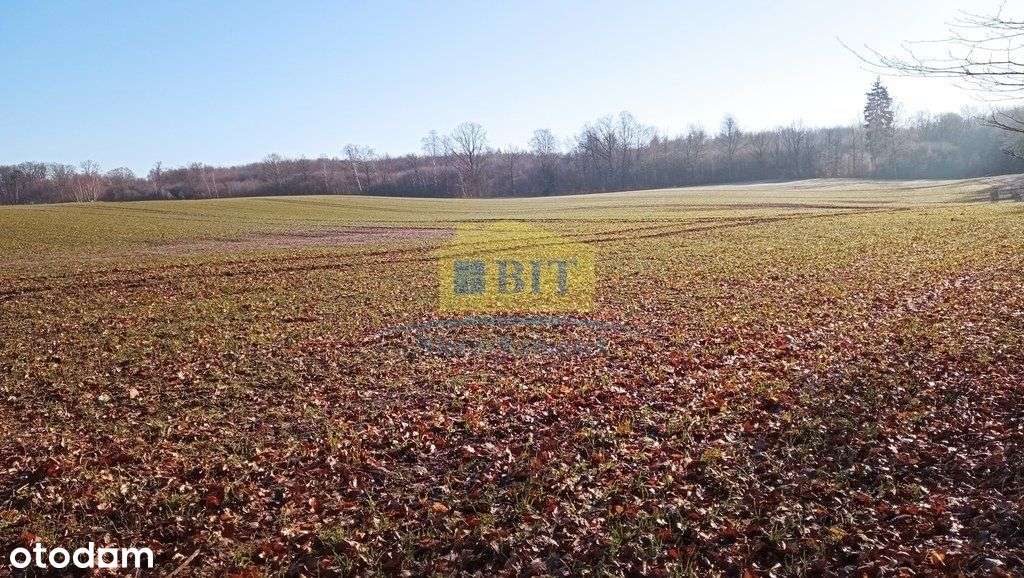 Działka 6066 m2, z dostępem do jeziora Kaleńsko-15