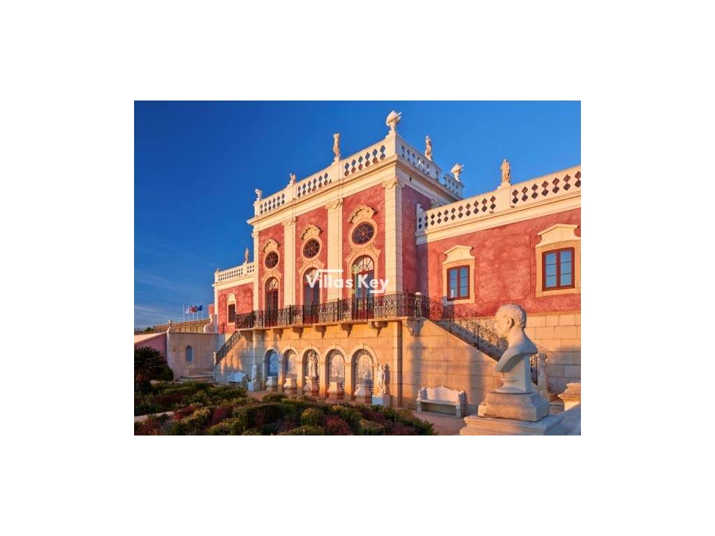 Terreno rústico com terra fértil para agricultura, tanque,nora,bons...-20