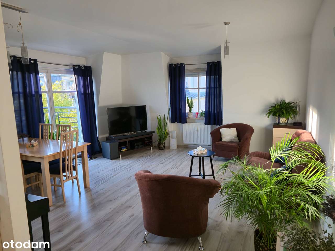 Przestronne mieszkanie w Sopocie, 110m², 2 balkony - Pełny obrazek: 5/15